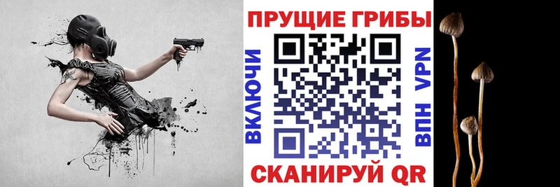 наркота  Любань  Галлюциногенные грибы ЛСД 